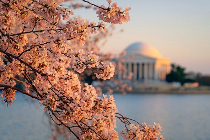BEST Washington D.C.& Philadelphia 2-Day Tour From New York City - Transportation Arrangements