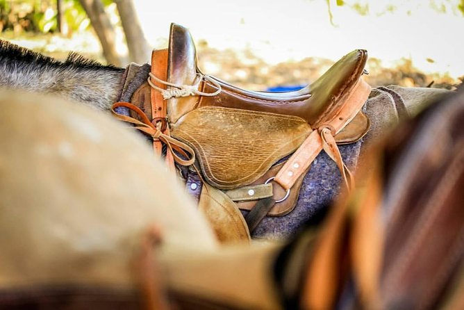 Best Waterfall Rappelling+ Zipline+Tractor Jungle Tour and Rainforest Horseback - Cancellation Policy