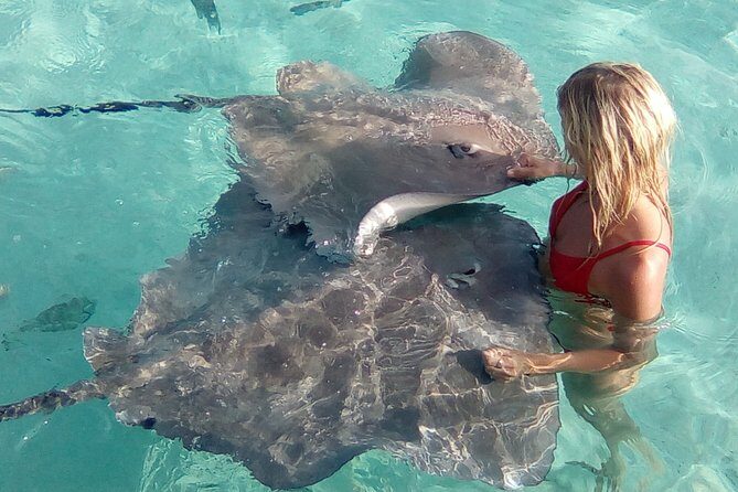 Best Way to Interact with Ocean Wildlife with Lunch. 6H - Who Will Love This Experience?