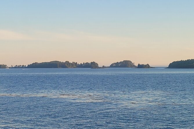 Best Whale Watching and Wildlife Shore Excursion in Sitka - Refund and Cancellation Policy