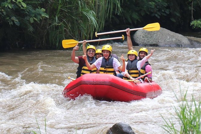 Best White Water Rafting in Bali - Scenic Highlights