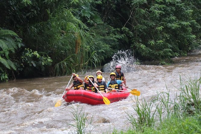 Best White Water Rafting in Bali - Tour Inclusions