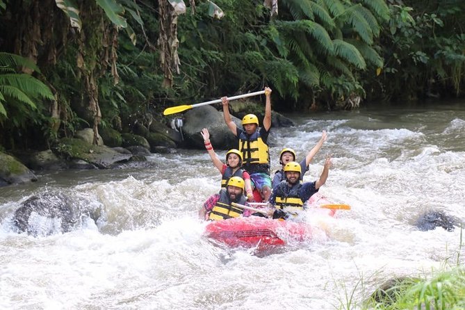 Best White Water Rafting in Bali - Customer Reviews