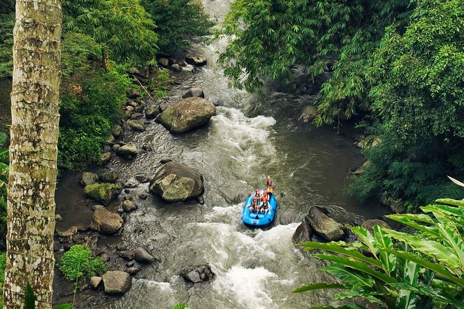 Best White Water Rafting With Lunch and Private Transfer in Bali - Rafting Inclusions