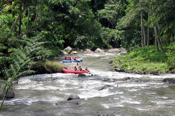 Best White Water Rafting With Lunch and Private Transfer in Bali - Thrilling Rapids Experience