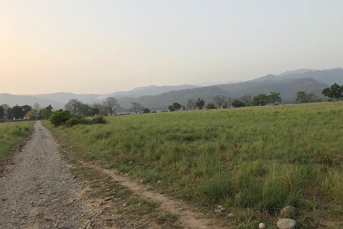 Best Wilderness Experience Through Jim Corbett Experience - Exploring the Safari and Wildlife Insights
