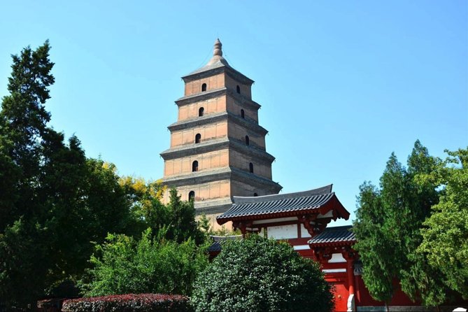 Best Xian Private Day Tour With Terracotta Warrior Entry Ticket Option - Xian Museum