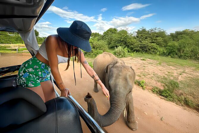 Best Yala Shared Leopard Safari: Tissamaharama Wildlife Tours - FAQ