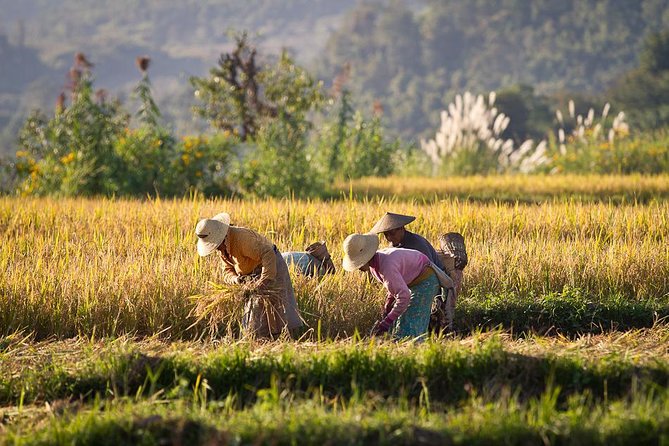 Best Yangon City Tour With Experience English Speaking Guide - Policies