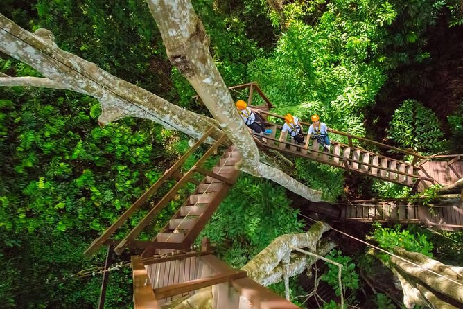 Best Ziplines Adventure 30 Platforms With Free Transfer - Zipline Adventure Details