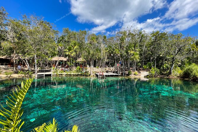 Bestseller! Tulum Private Tour With Turtles and Cenote Snorkeling - Reviews