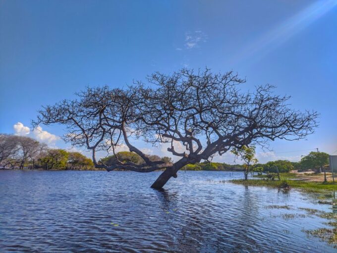 Betânia Lagoon Circuit (Santo Amaro) - Cultural Exploration