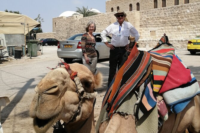 Bethlehem, Jericho, Hisham Palace and Qumran Full Day Private Tour - Pricing Information