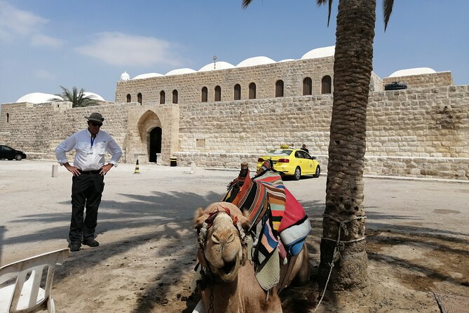 Bethlehem, Jericho, Hisham Palace and Qumran Full Day Private Tour - Pickup and Accessibility