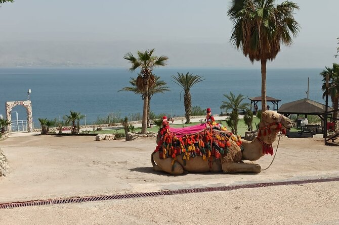 Bethlehem & the Dead Sea Full Day Tour From Jerusalem/Tlv - Itinerary Highlights