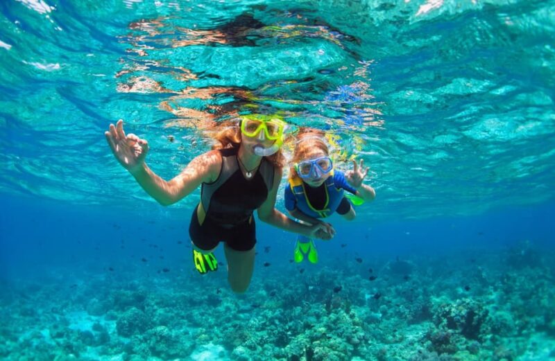 Between Cliffs and Sea: Trip to Cadaqués and Paradise Swim - Key Points