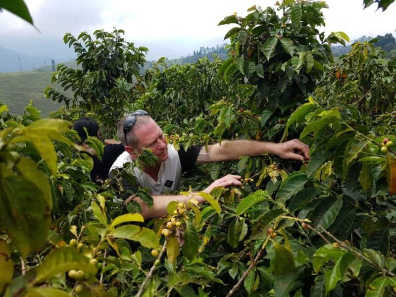 Between Cups and Mountains Antioquia Tour (Multiday Tour) - Languages and Pickup