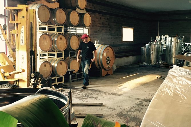 Between The Lines Classic Wine Tasting - Wine Educator Insights