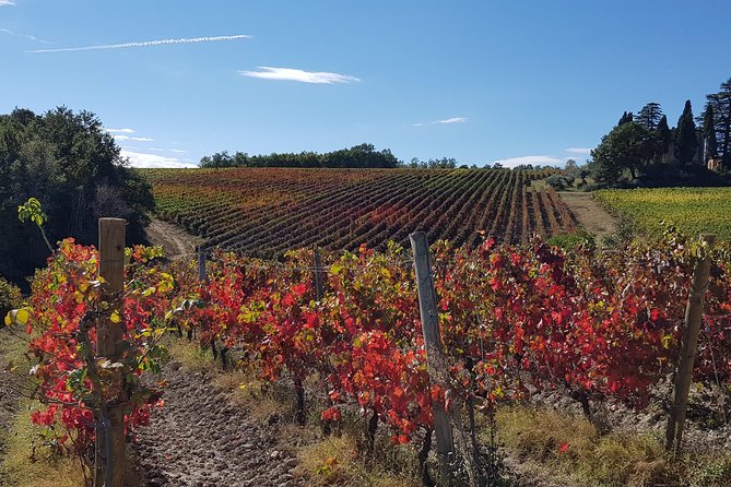 Bevagna E-Bike & Wine Tour - Tour Duration and Restrictions