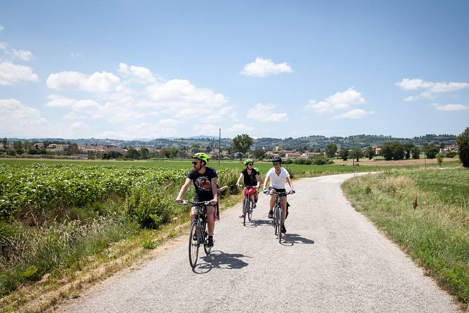 Bevagna E-Bike & Wine Tour - Visiting the Organic Winery