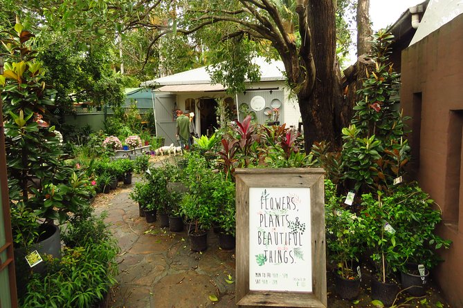 Beyond Byron Hinterland Tour - Customer Feedback