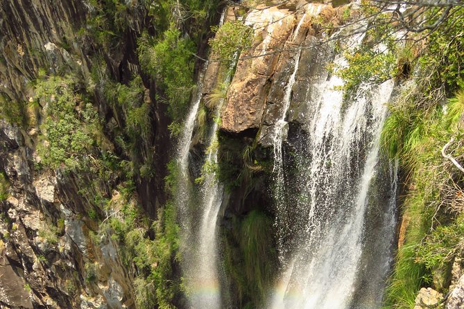 Beyond Byron Hinterland Tour - Exploring Crystal Castle