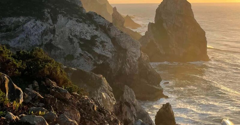 Beyond Lisbon: Road Trip to Magic Forest and Majestic Ocean - Lunch and Beach Activities