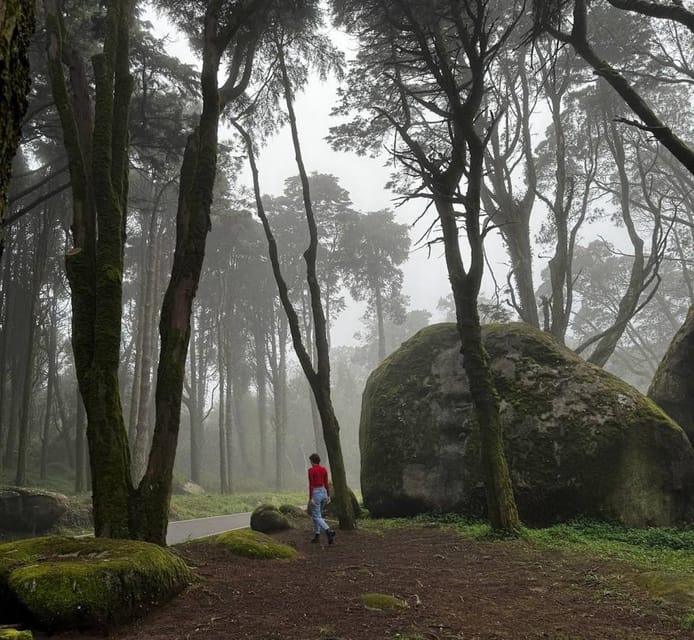 Beyond Lisbon: Road Trip to Magic Forest and Majestic Ocean - Optional Stops and Experiences