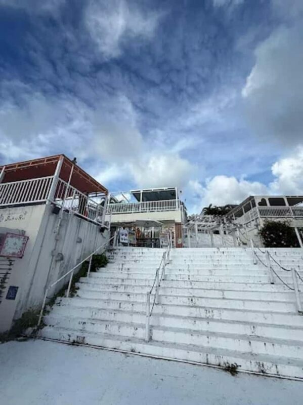 Beyond the Blue Horizon A Day of Love and Light in Okinawa - Authentic Experience & Value
