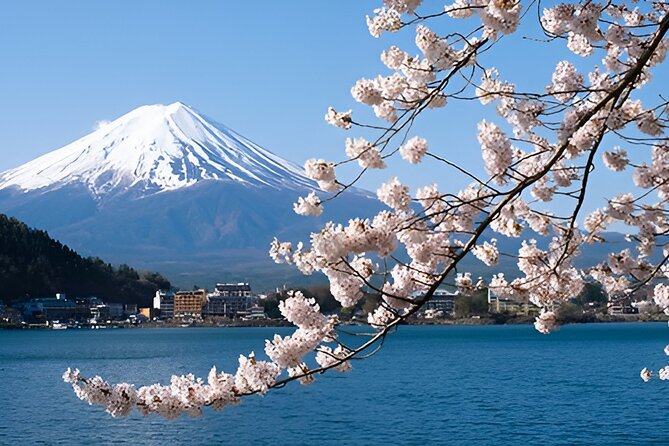 Beyond the Ordinary: Private Mount Fuji & Cherry Blossom Tour - Immerse in the Beauty of Cherry Blossoms