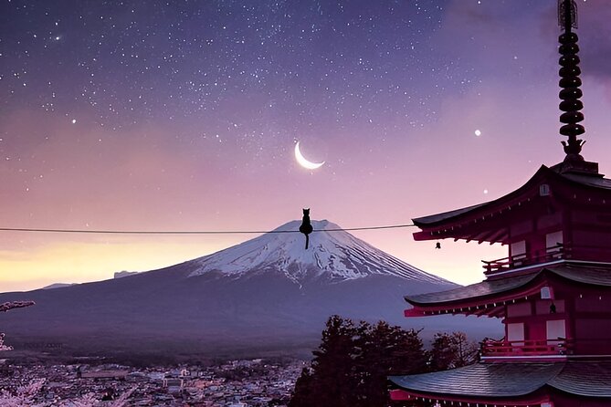 Beyond the Ordinary: Private Mount Fuji & Cherry Blossom Tour - Knowledgeable English-Speaking Driver