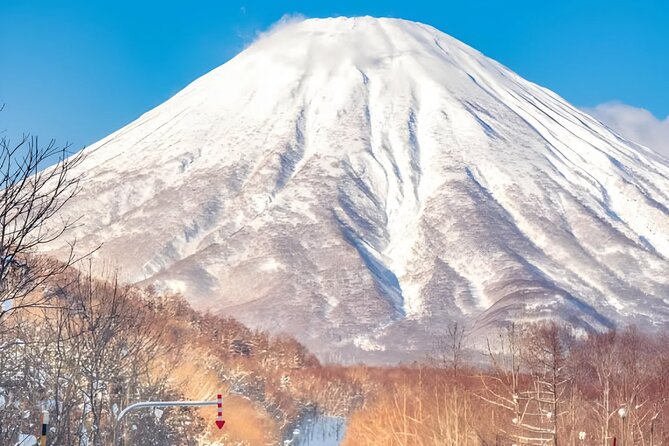 Beyond the Ordinary: Private Mount Fuji & Cherry Blossom Tour - Inclusions for a Hassle-Free Experience