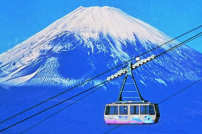 Beyond the Ordinary: Private Mount Fuji & Cherry Blossom Tour - Flexible Itinerary to Suit Your Interests