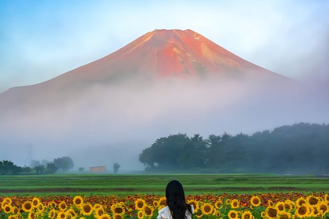 Beyond the Ordinary: Private Mount Fuji & Cherry Blossom Tour - Seasonal Highlights and Timing