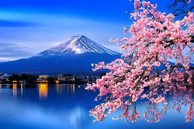 Beyond the Ordinary: Private Mount Fuji & Cherry Blossom Tour - Exceptional Reviews From Satisfied Travelers