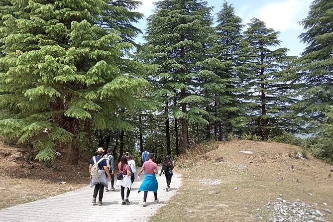 Bhadraj Forest Trek - Inclusions