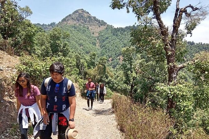 Bhadraj Forest Trek - Meeting and Schedule