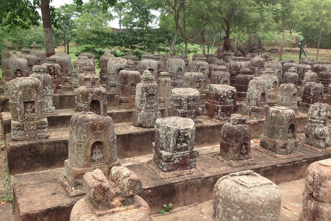 Bhubaneshwar, Bhitarkanika & Similipal Tiger Reserve Tour - Exclusions