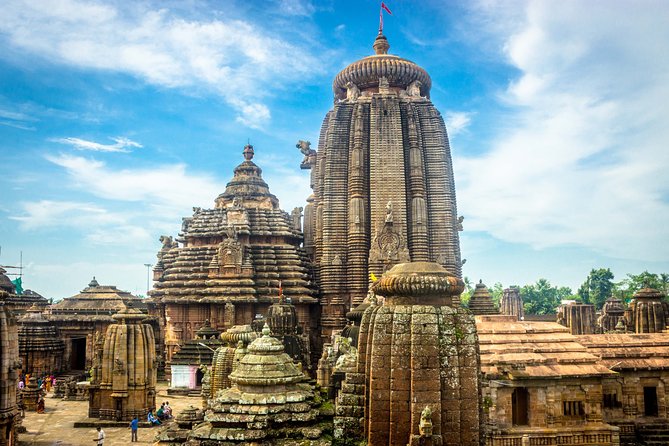 Bhubaneshwar, Bhitarkanika & Similipal Tiger Reserve Tour - Discover Bhitarkanika