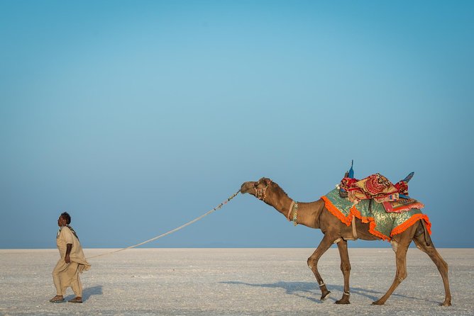 Bhuj, Rann of Kutch & Mandvi Beach: The Art, Craft & Nature Tour - Navigating the Regions Cultural Diversity