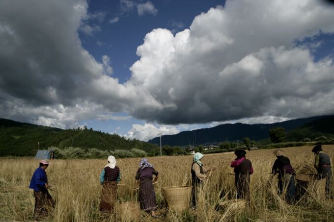 Bhutan: 15 Day Best of Bhutan - Natural and Wildlife