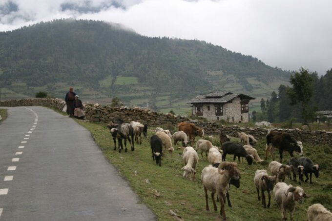 Bhutan: 15 Day Best of Bhutan - Frequently Asked Questions