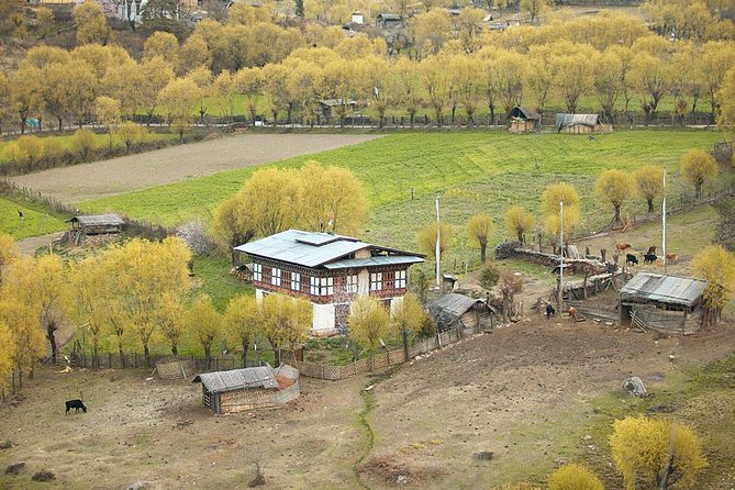 Bhutan Family Vacation With Cultural Tour - Pickup Information