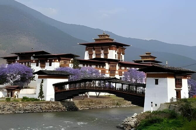 Bhutan Private Multi Day Tour - The Full Experience: What to Expect and Why It Matters