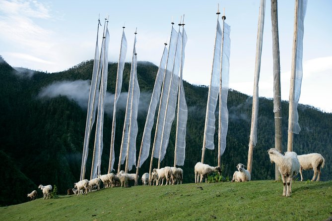 Bhutan-The Kingdom in the Sky ( 12 Nights 13 Days ) - Accommodation and Meals