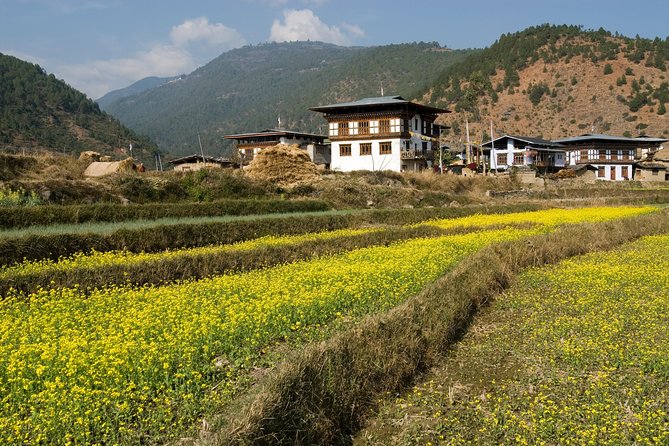 Bhutan Vacation (5 Nights-6 Days) - Transportation and Guides