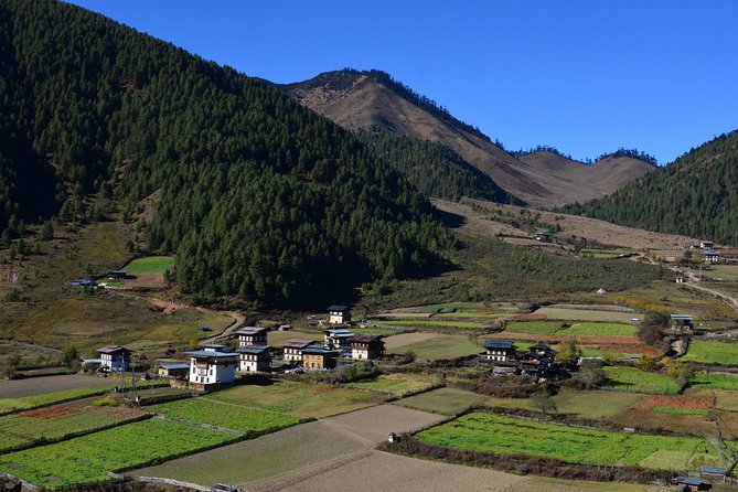 Bhutan Walking Holidays - Beyond the Clouds - Good To Know