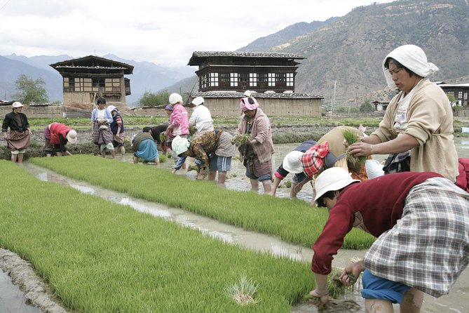 Bhutan Walking Holidays - Beyond the Clouds - Logistics and Tour Highlights