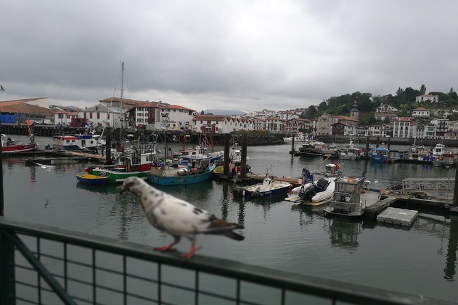 Biarritz & the Basque Coast Private Tour - Highly Rated