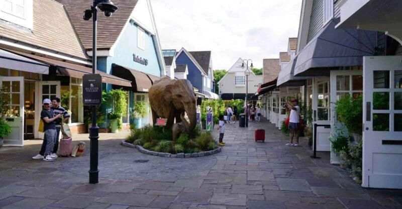 Bicester Village Retail Adventure: Private Half-Day Tour - Included Transportation